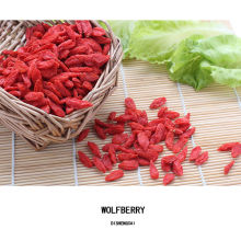 2017 New crop fresh 280 grains certified organic goji berry